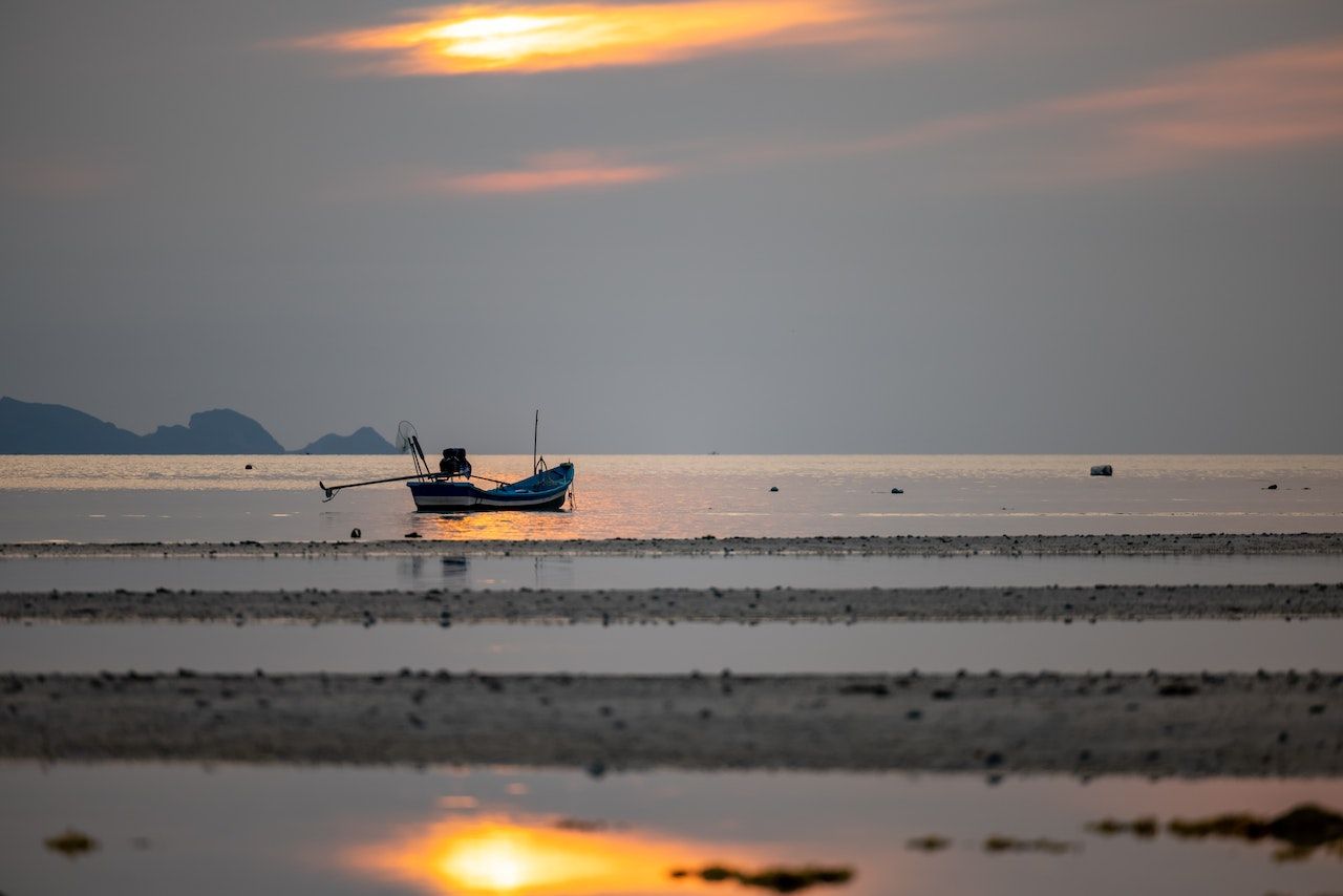 Veda de pesca 2022-2024: Lo que debes saber si participas en el sector acuicultor